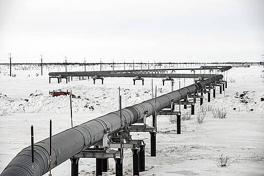 В российском регионе обнаружили большое нефтяное пятно