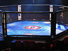 Российский боец MMA проиграл жестким нокаутом