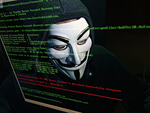 Сайт «Тотального диктанта» подвергся DDOS-атакам в день проведения акции