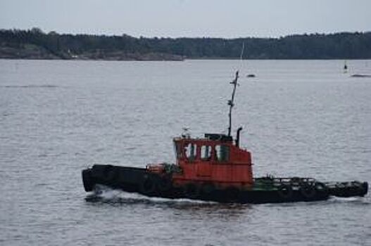 В воды Финского залива выпустили мальков балтийского сига