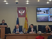 КСП Воронежа раскритиковала озеленение города