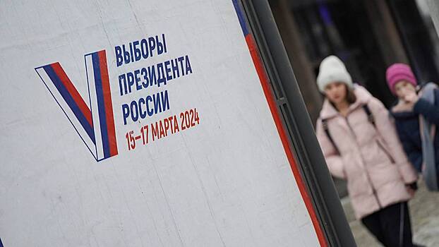Россияне подали 740 тысяч заявлений на ДЭГ на президентских выборах