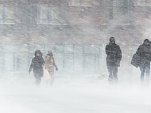 Колыму замело: метель и ветер до 30 м/с бушуют в Магаданской области