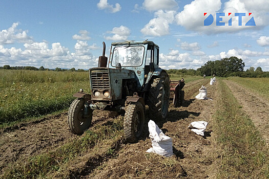 Новая инициатива правительства может угробить сельское хозяйство