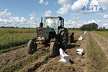 Правительство Приморья оказывает поддержку фермерам региона