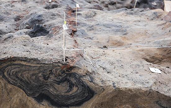 В России нашли останки древнего существа