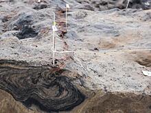 В России нашли останки древнего существа