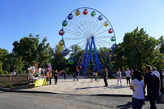 Власти Самары подтвердили работу колеса обозрения в Загородном парке