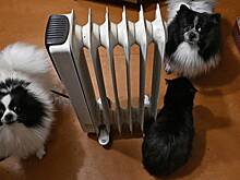 Россиянам напомнили главное условие для начала отопительного сезона