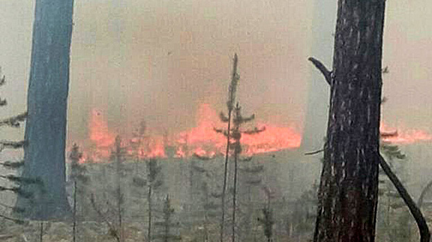 На территории Ноябрьского лесничества зафиксирован первый лесной пожар