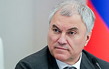 Володин поручил проработать исключение нормы о рубках из законопроекта об охране Байкала