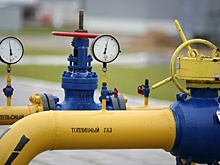 НЛМК просит не раскрывать информацию о цене на газ