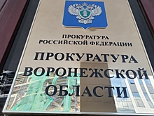 В Воронежской области 15 чиновников уличили в сокрытии доходов