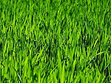 На Башиловской после ремонта восстановили благоустройство двора