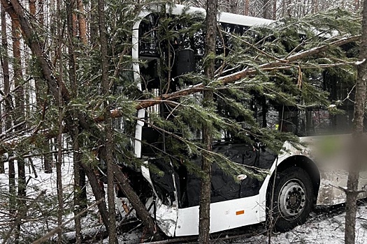 Два пассажирских автобуса попали в ДТП в Иркутской области