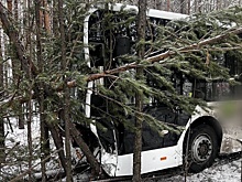 Два пассажирских автобуса попали в ДТП в Иркутской области