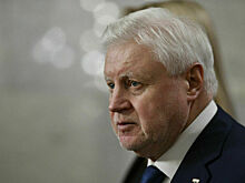 Миронов уверен, что санкции против России не действуют