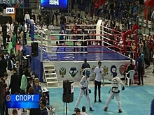 В Уфе стартовали Первые Открытые юношеские игры боевых искусств ПФО