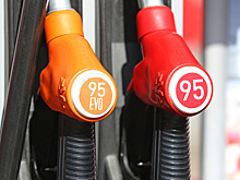 Стало известно о предложении ввести мораторий на рост цен на топливо в РФ