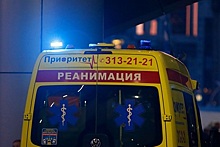 В российском регионе пешеходы пытались помочь пострадавшему в ДТП и погибли