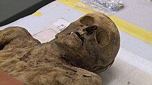 В Швейцарии показали мумию родственницы Бориса Джонсона