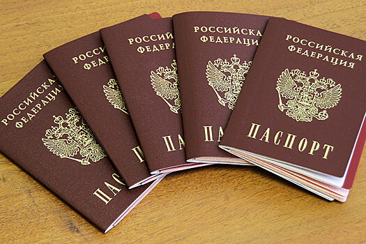 Госдума приняла президентский законопроект о гражданстве России