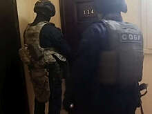 В Петербурге поймали группу, занимавшуюся незаконной легализацией мигрантов