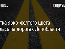 Разметка ярко-желтого цвета появилась на дорогах Ленобласти