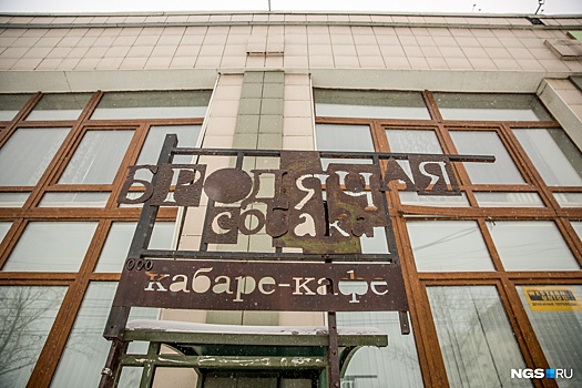 В новосибирском баре начали сдавать в аренду болтливых собутыльников