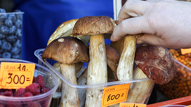 Орехи, грибы и ягоды подорожают из-за инфляции и жары