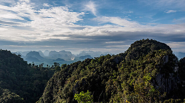 Желающим поехать в Таиланд слегка облегчат жизнь местные власти