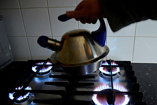 Аналитик объяснил сложности отказа от российского газа для Германии