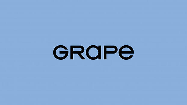 Wunderman Thompson Group в России переименовалась в Grape