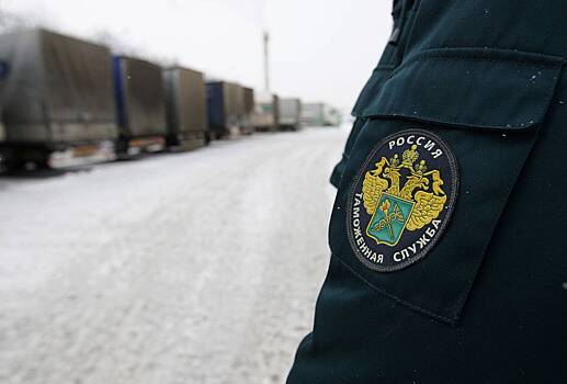 Иностранца задержали при въезде в Россию из-за странно сидевшей куртки
