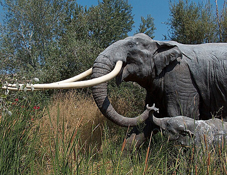 В Испании нашли «ясли» древних слонов