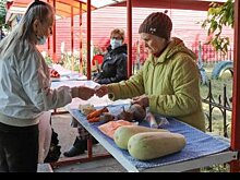 В Уфе садоводам выделили 682 торговых места для продажи продукции