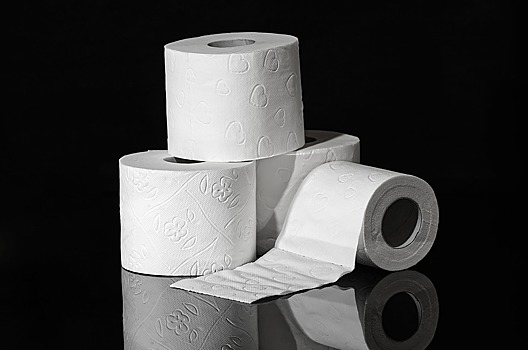 Чем пользовались люди до появления туалетной бумаги