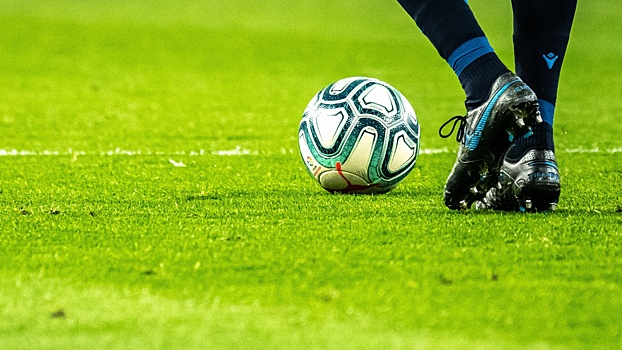 UEFA перенес три матча группового этапа чемпионата Европы по футболу в Петербург