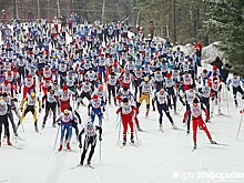 Лыжные и велотрассы в российских лесах будут строить без ограничений. Законопроект