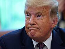 Профессор оценил нападки Трампа на Зеленского