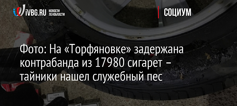 Фото: На «Торфяновке» задержана контрабанда из 17980 сигарет – тайники нашел служебный пес