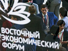 Приморский край на ВЭФ презентовал проекты по производству игрушек и переработке меда
