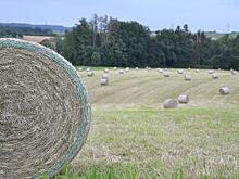 Бизнес на траве – как зарабатывать производством сена и сенажа