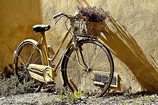 Самый креативный велосипед выберут на велопараде в Орехово‑Зуеве 26 мая