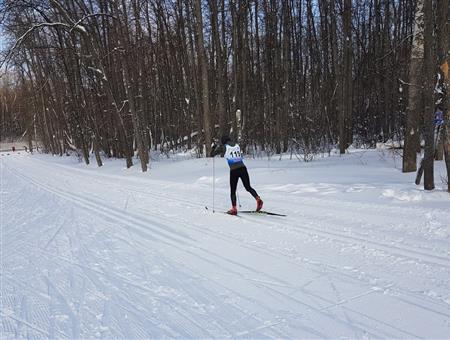 В Самаре лыжную базу «Чайка» планируют передать в концессию