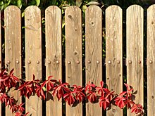 В Кузнецке нашли желающих заняться дачными перевозками