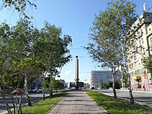 Березы вырубят на Красном проспекте в Новосибирске