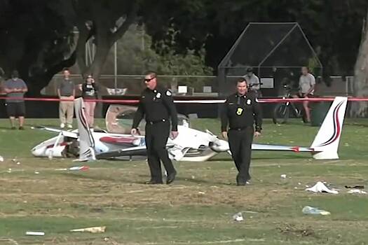 В глухую женщину с собакой врезался самолет