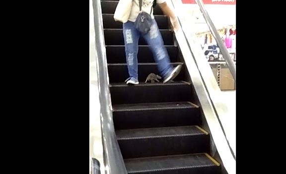 Крыса на эскалаторе вызвала истерику в торговом центре