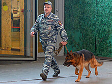 В Волгограде эвакуировали 13 тысяч человек